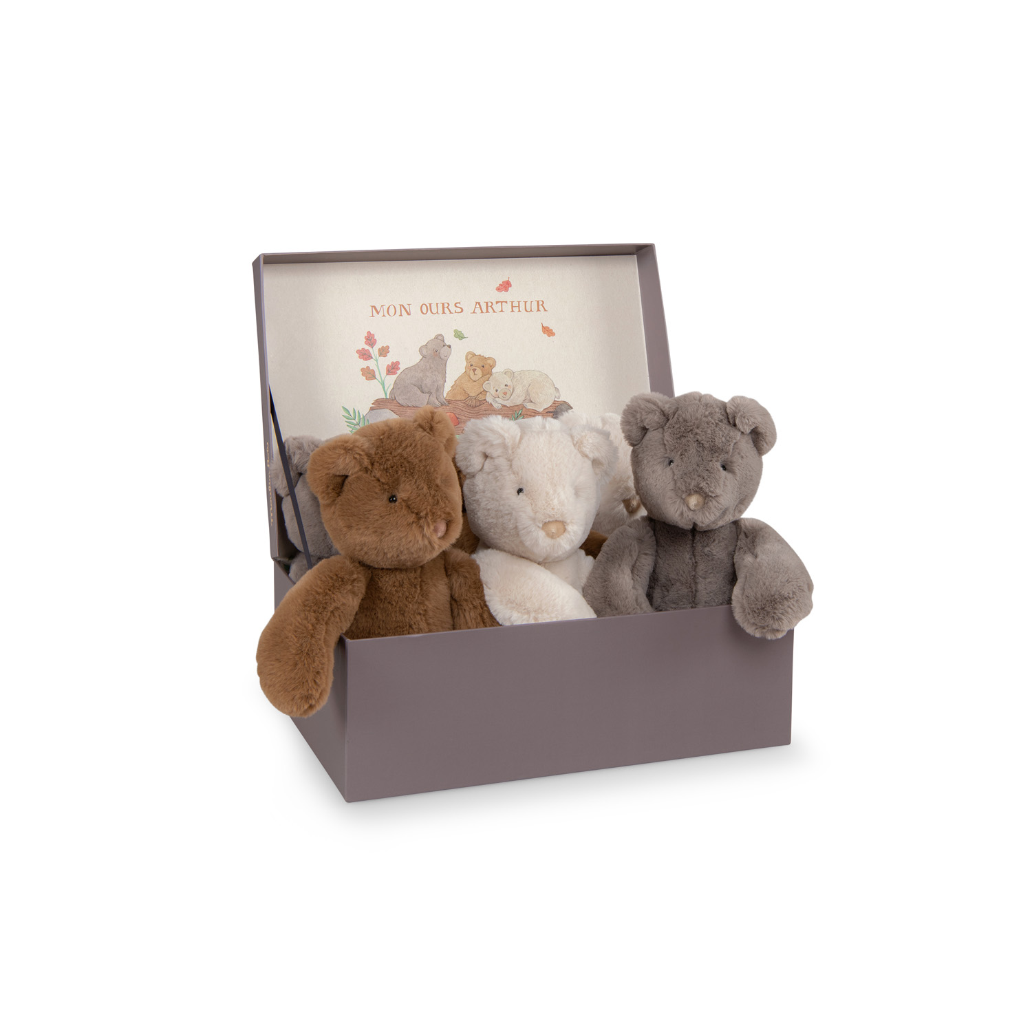 Arthur et Louison - Bears (6 Assorted) with DISPLAY BOX  