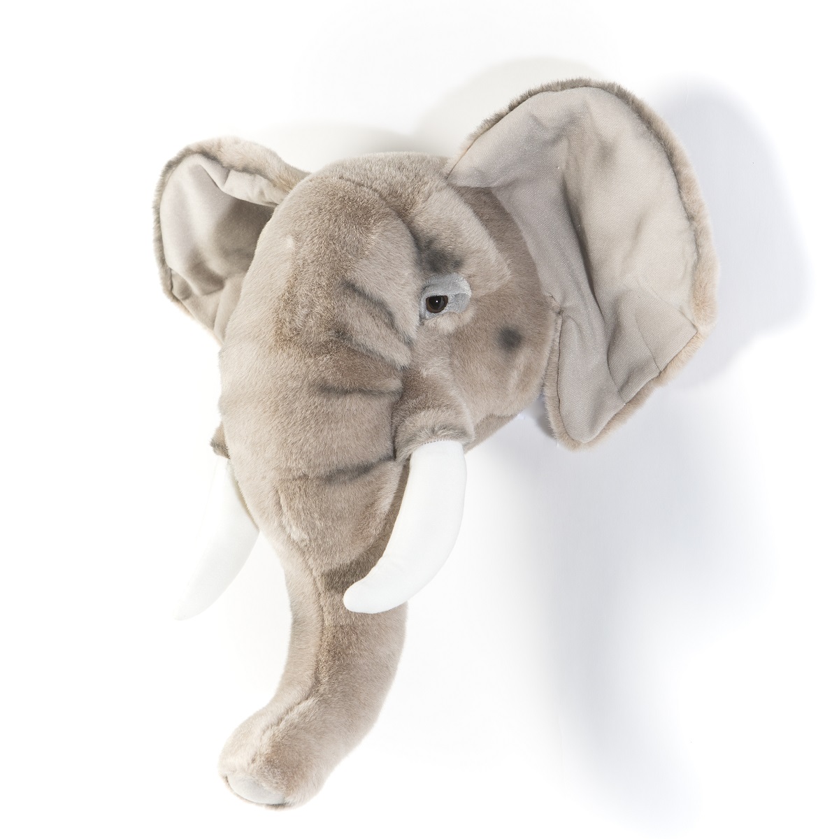 Head Large Elephant, George PRE-ORDER FOR LATE JUNE