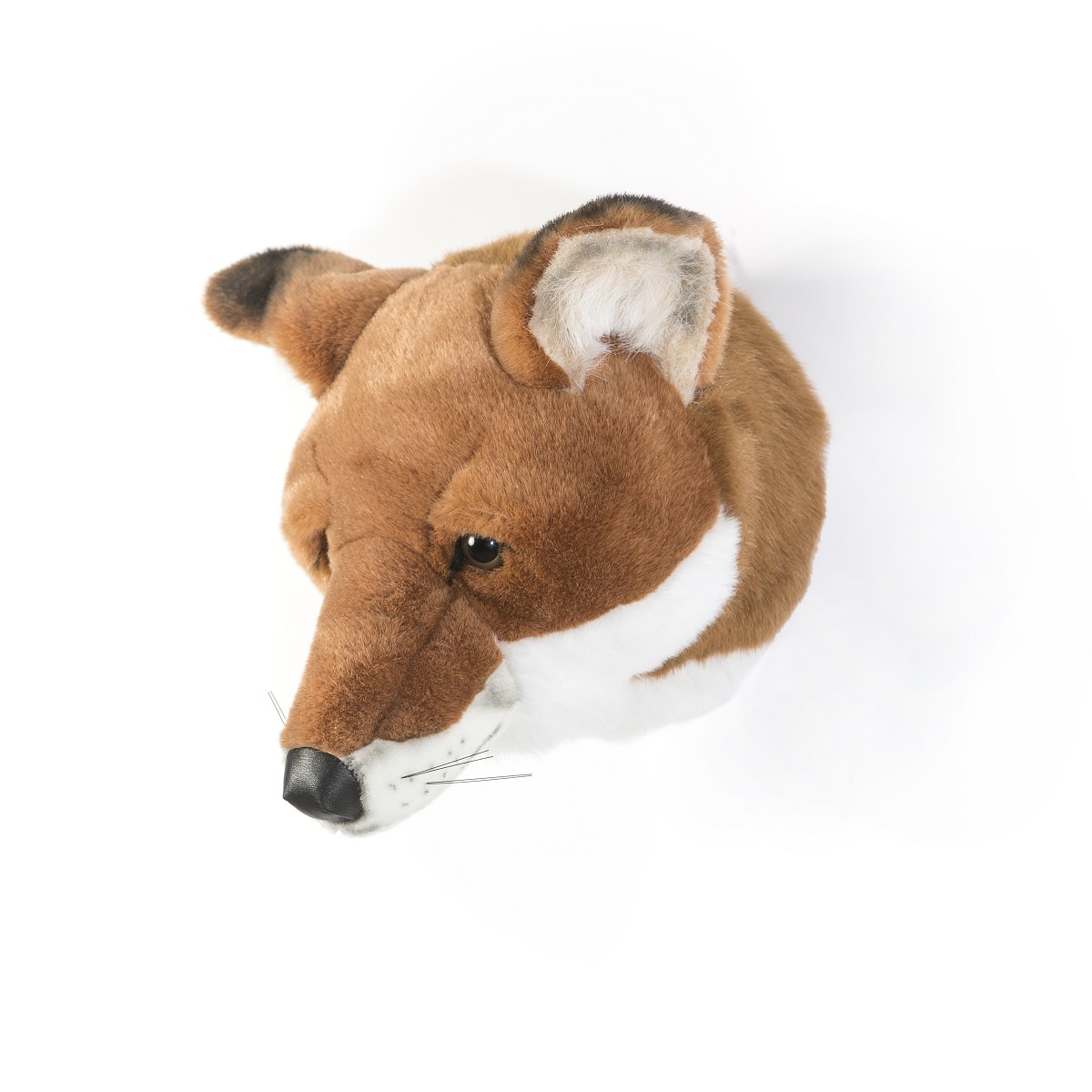 Head Large Fox, Louis PRE-ORDER FOR LATE JUNE