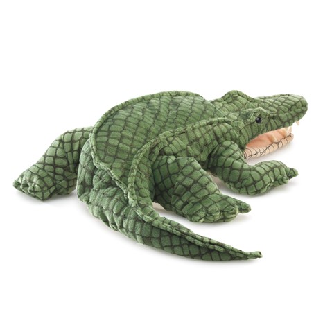 Alligator  