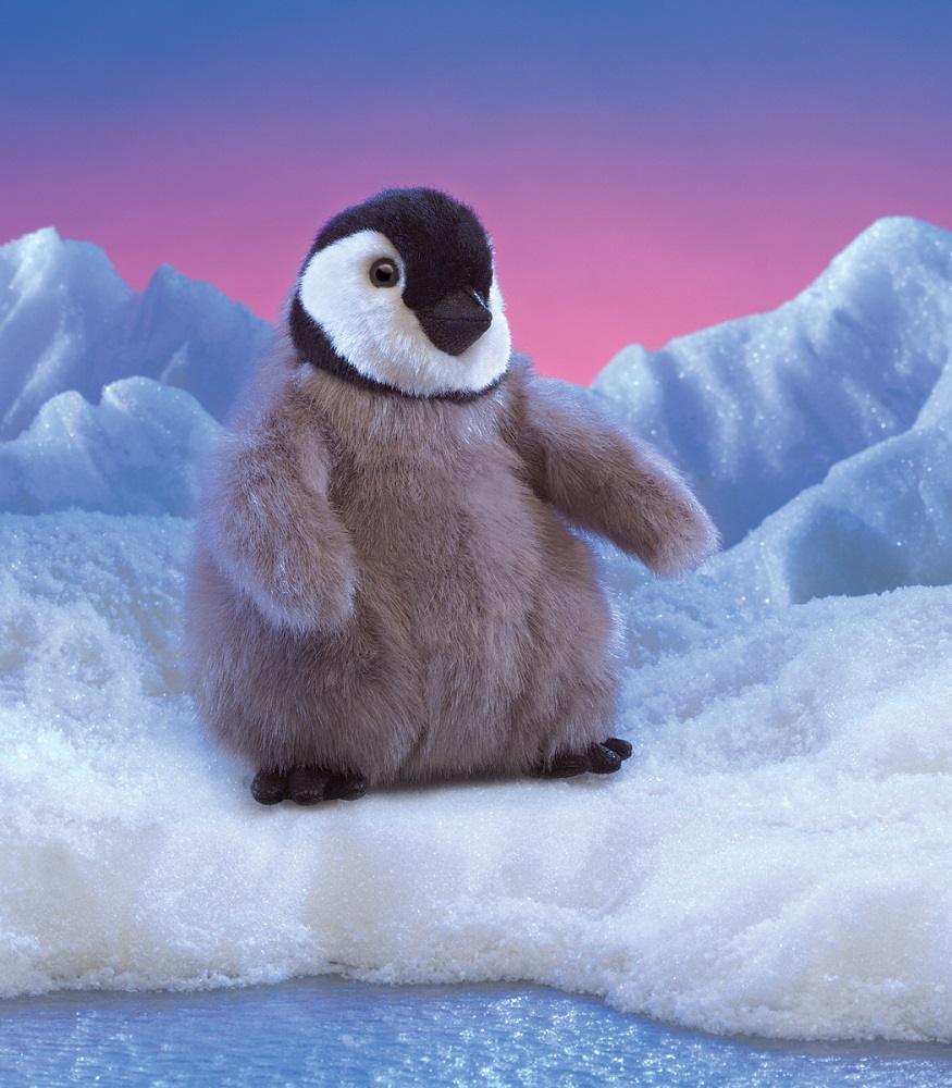 Baby Emperor Penguin  