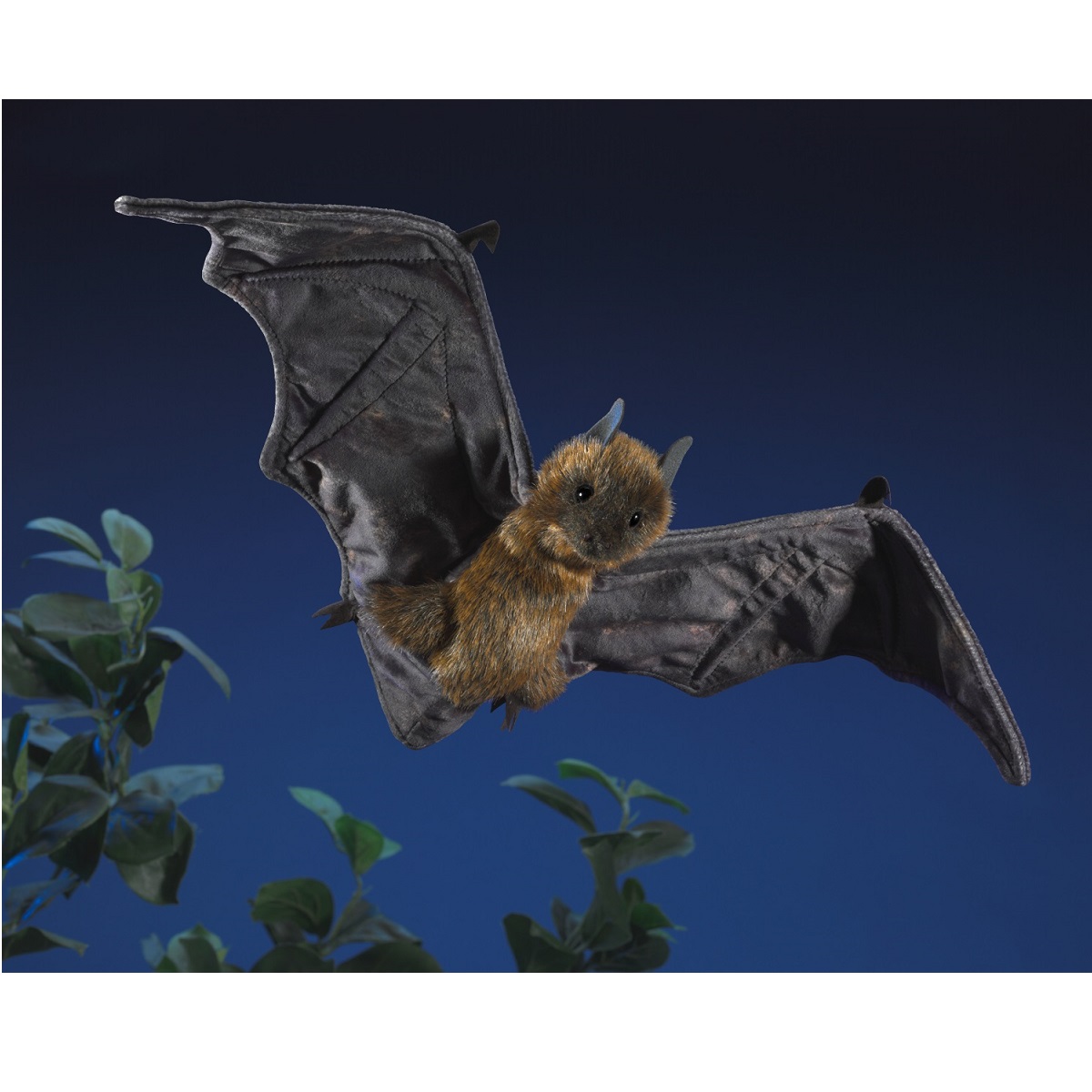 Fruit Bat  