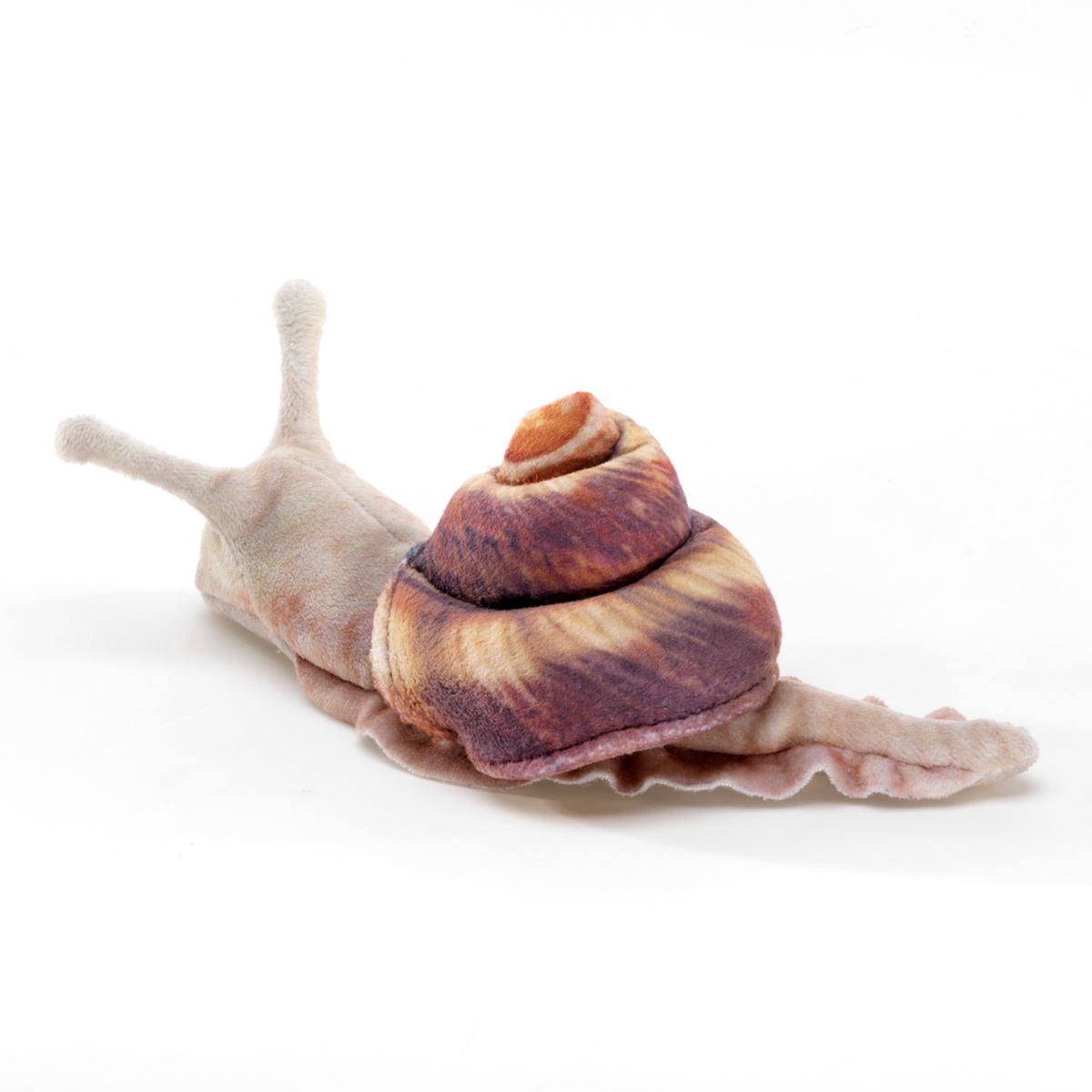 Mini Snail 