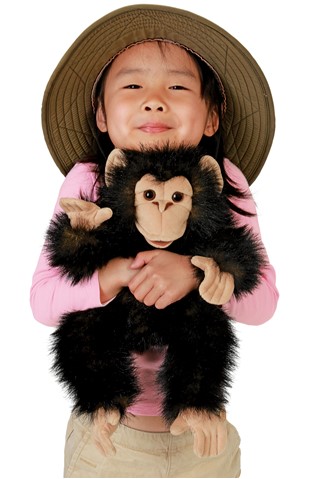 Baby Chimpanzee   