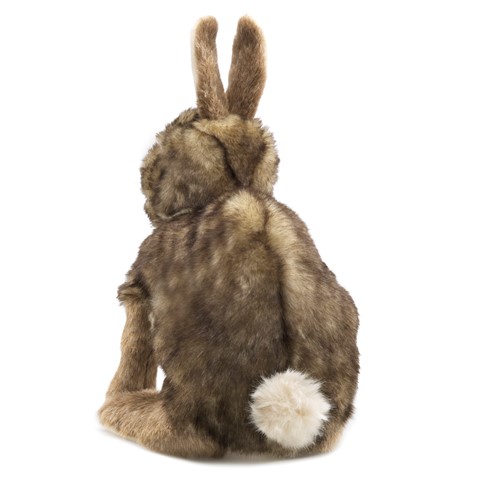Cottontail Rabbit  NO E.T.A. AVAILABLE