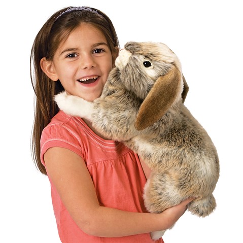 Holland Lop Rabbit   