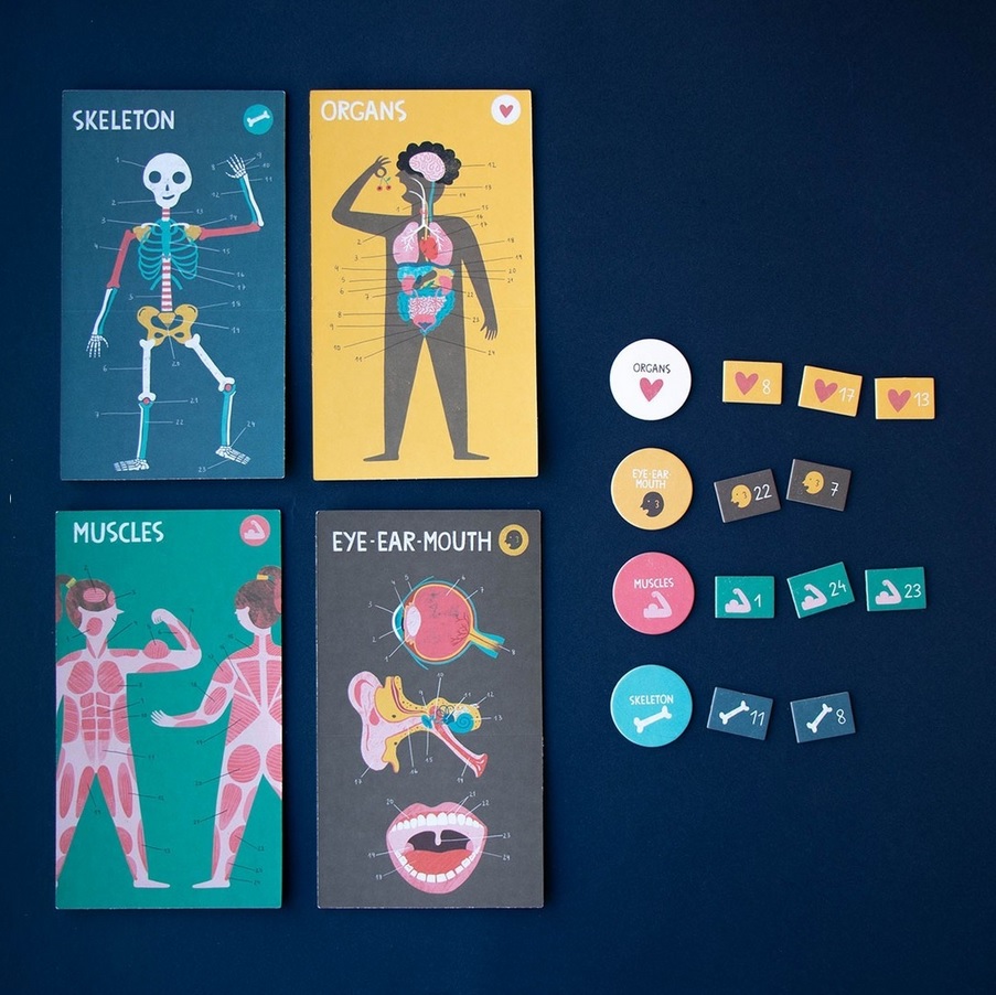 Game - Inside Me: A Game to Discover the Human Body 