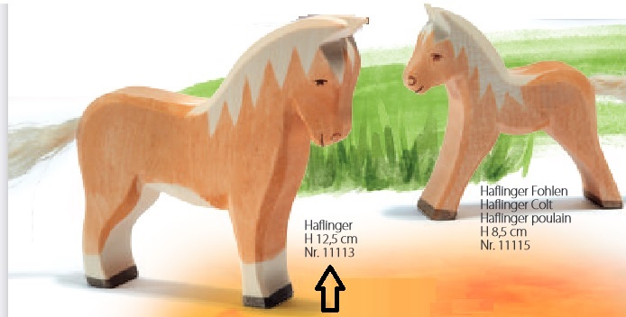 Horse - Haflinger