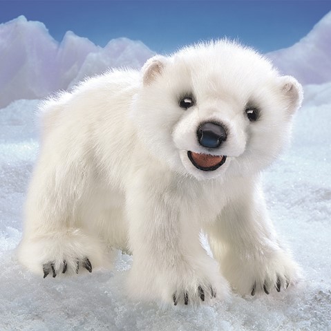 Polar Bear Cub     