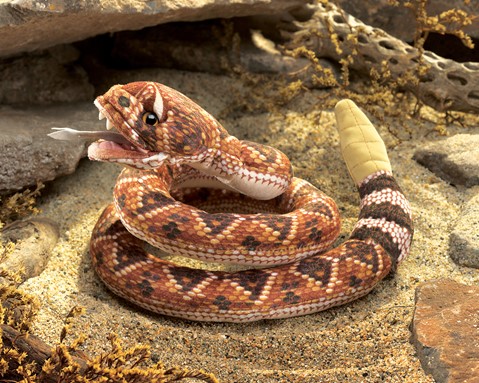 Rattlesnake    