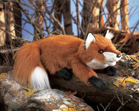 Small Red Fox   