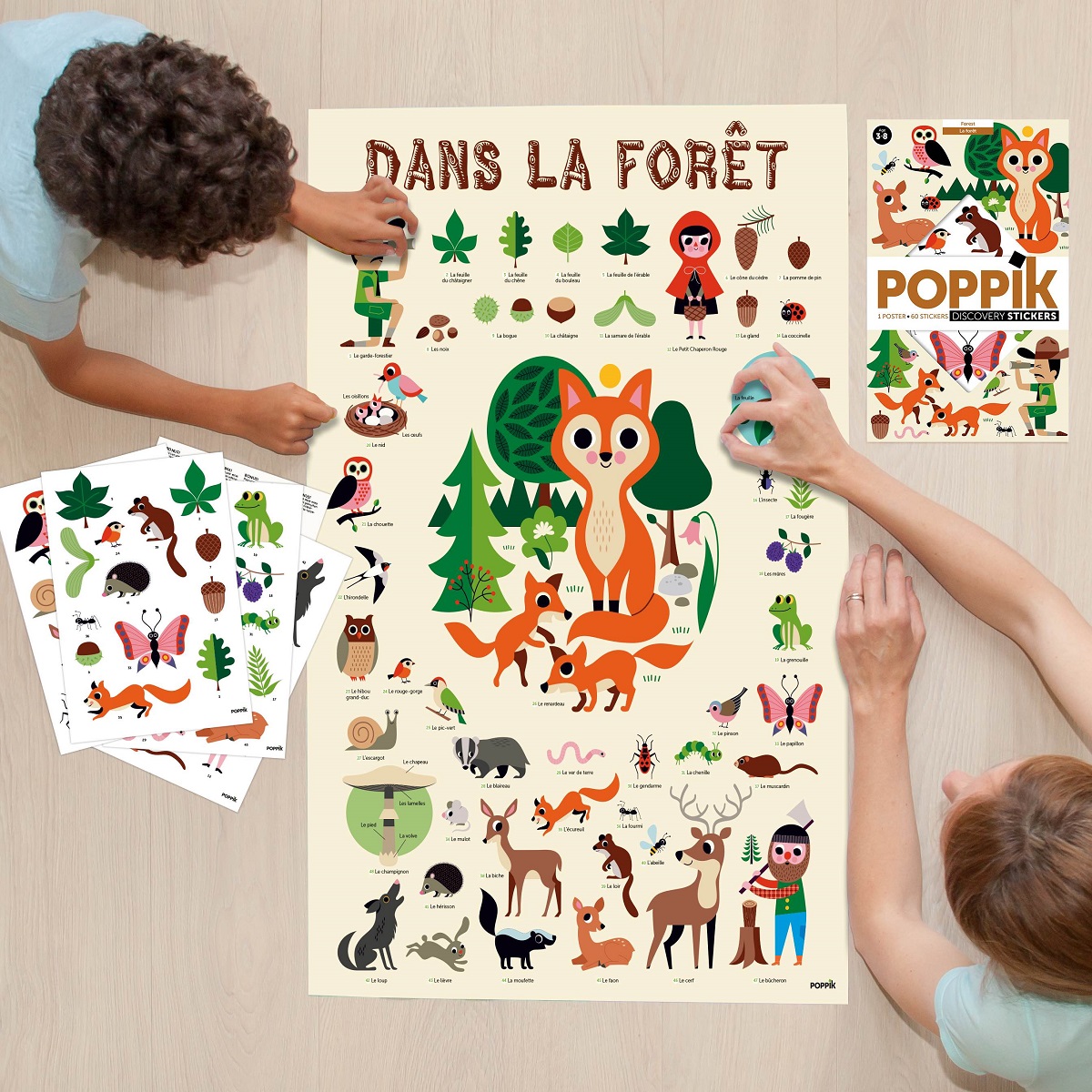 Discovery Poster Forest XXL