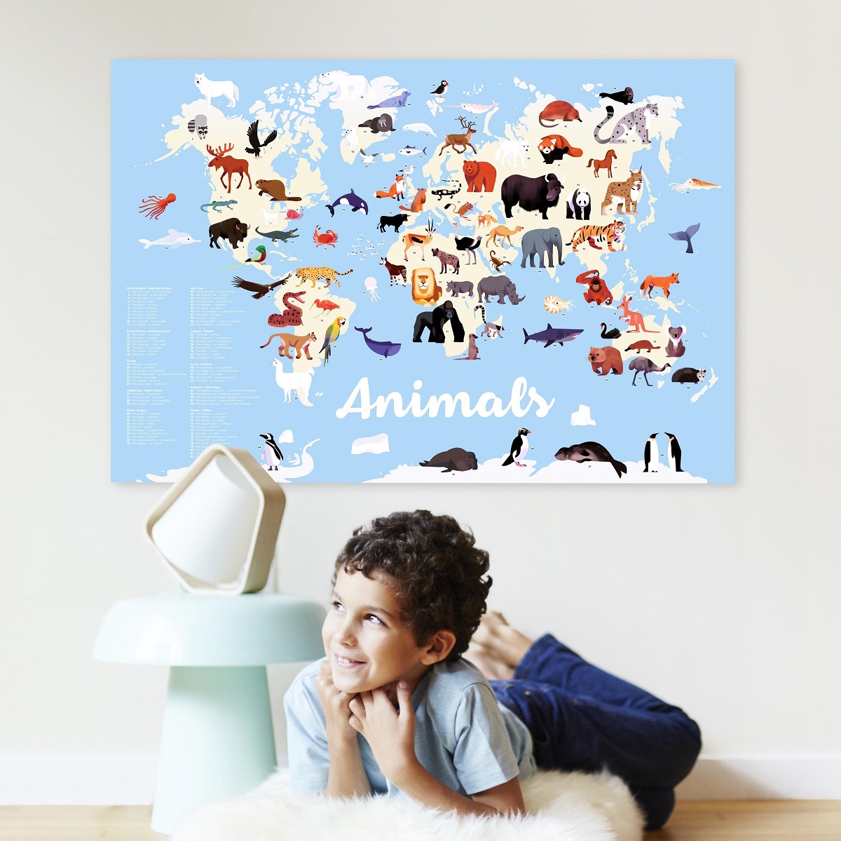 Discovery Poster Animals of the World 