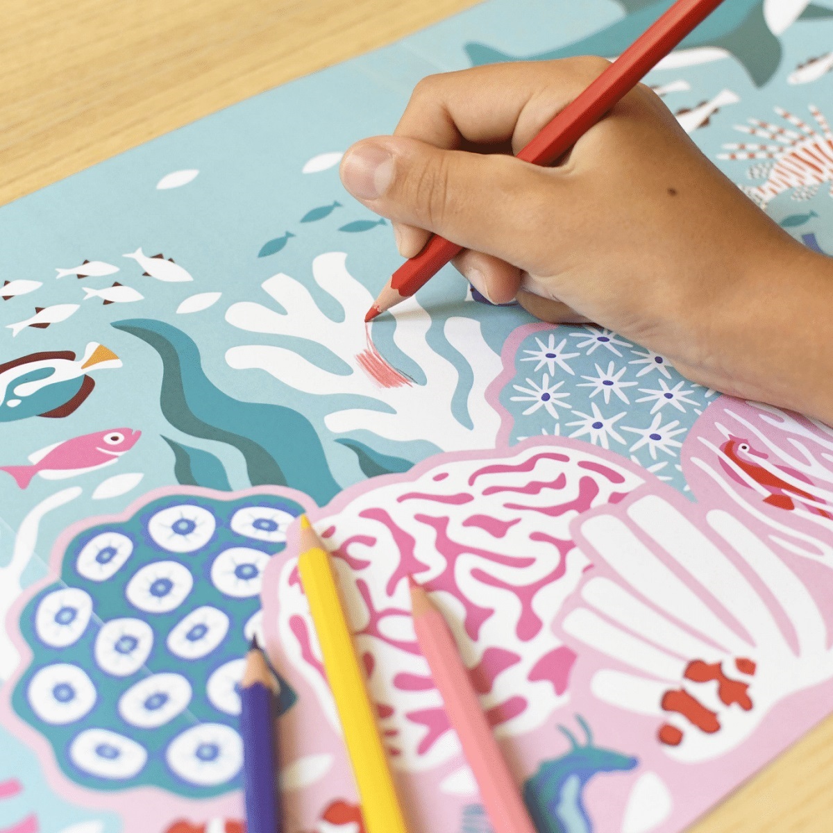 Colouring Poster Coral Reef 