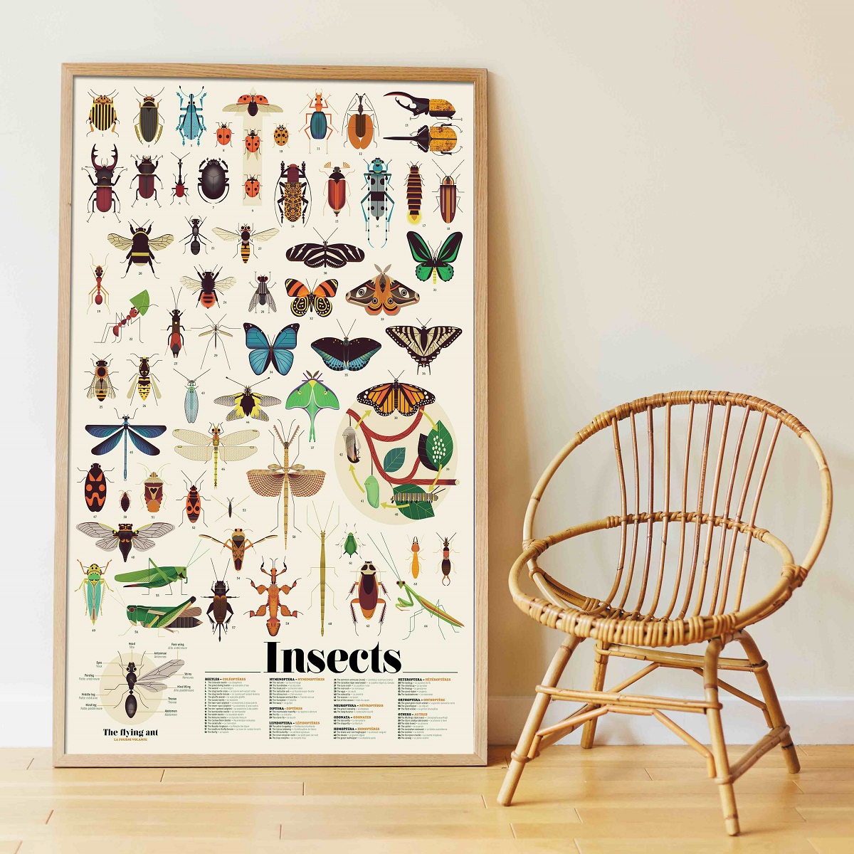 Discovery Poster Insects 