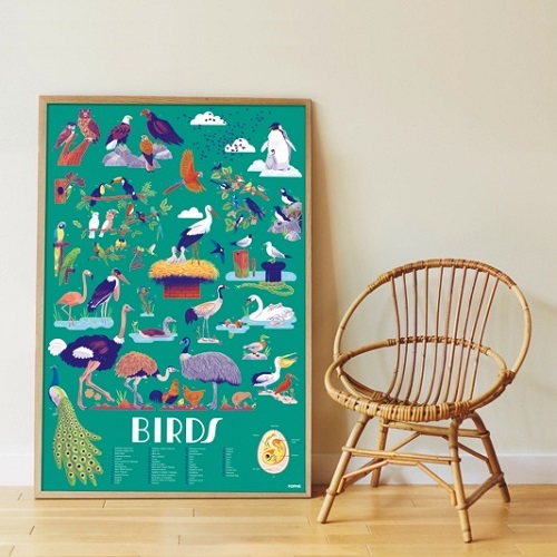 Discovery Poster Birds 