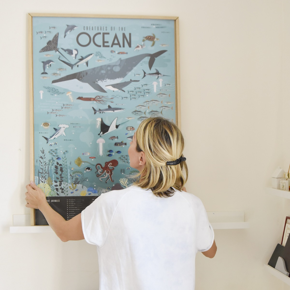 Discovery Poster Oceans XXL