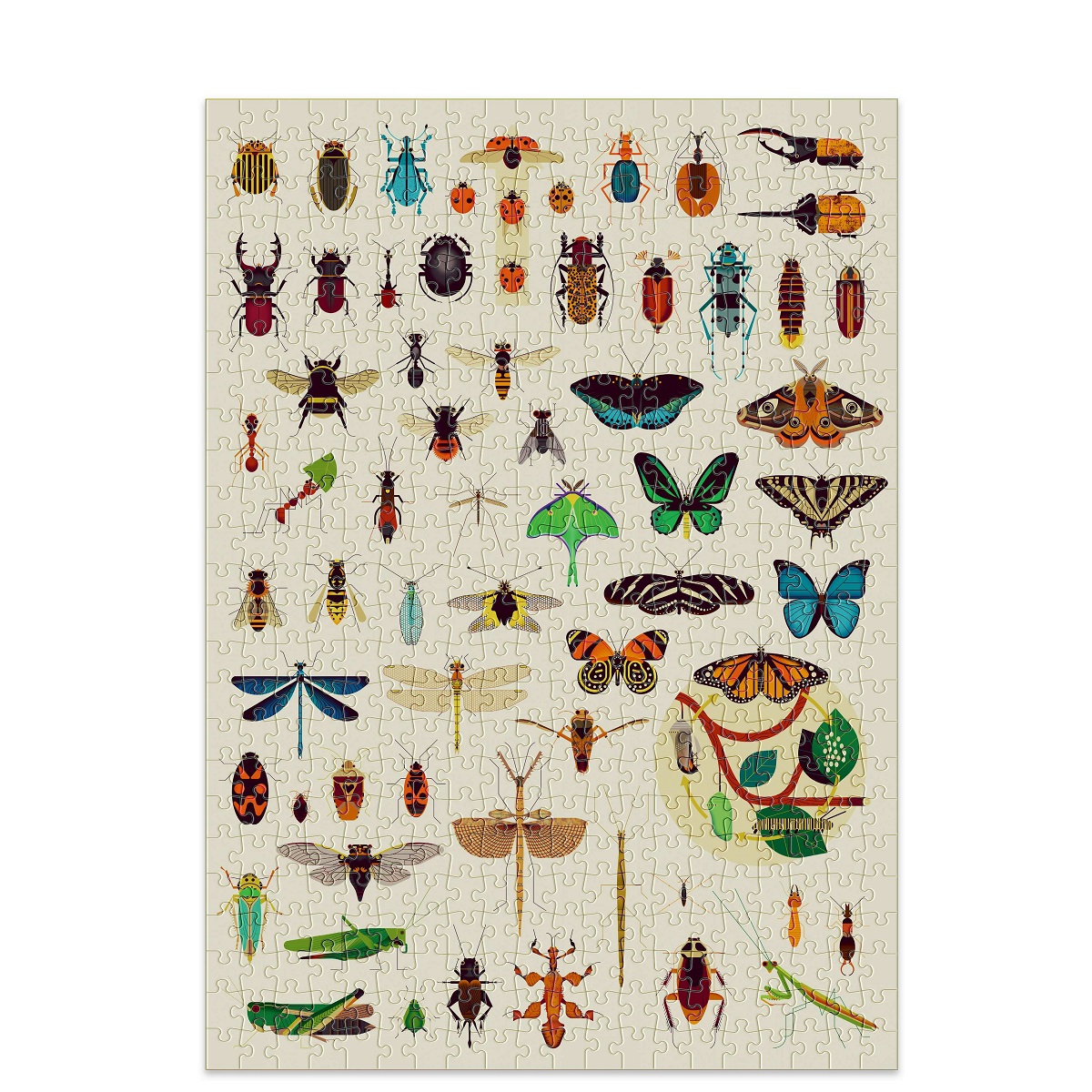 Discovery Puzzle Insects 500pcs 