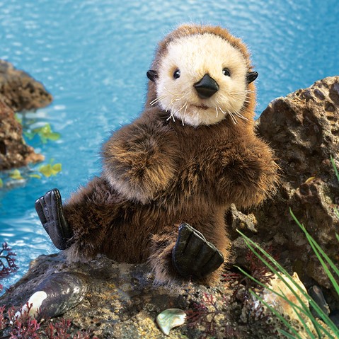 Baby Sea Otter 