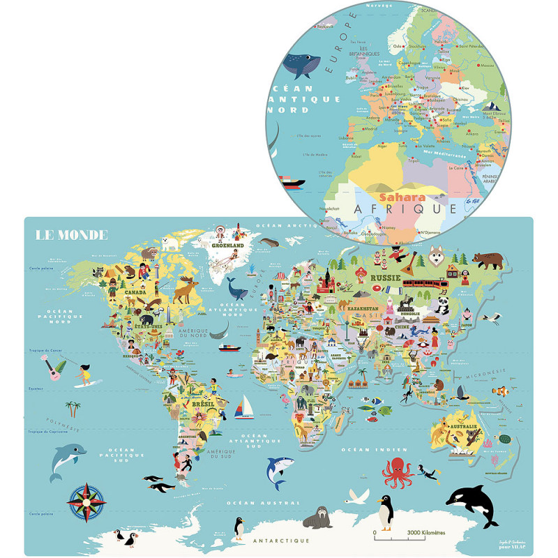 Ingela P. Arrhenius - Magnetic Map of the World FRENCH ONLY/ EN FRANCAIS 