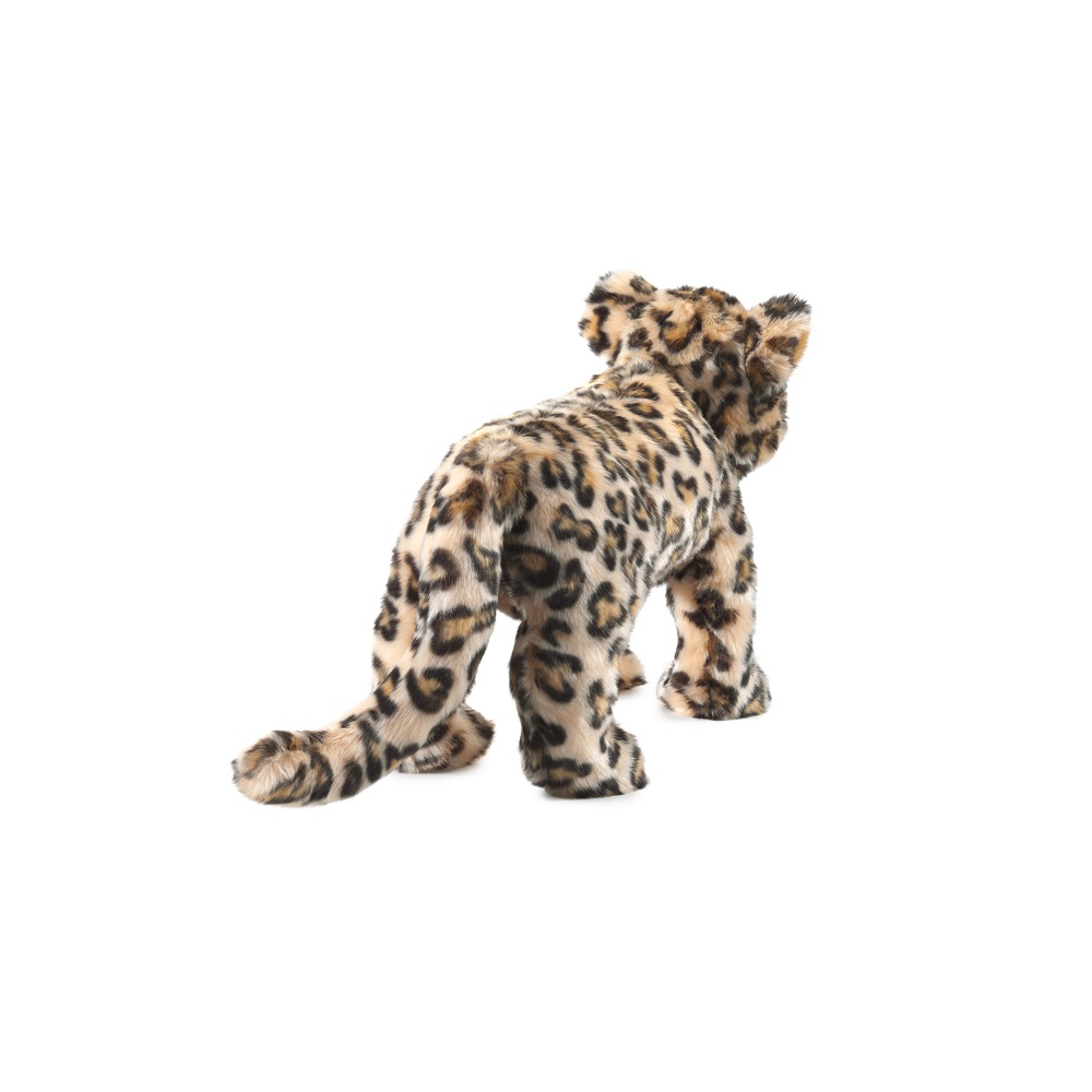 Leopard Cub       