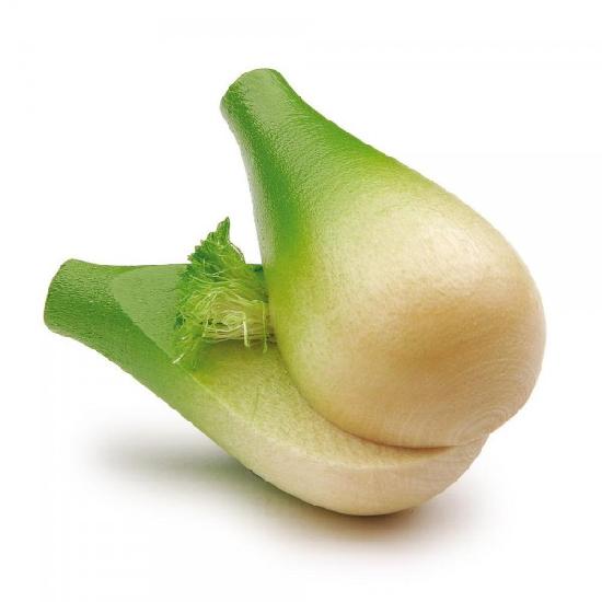 Fruits & Vegetables - Fennel Bulb
