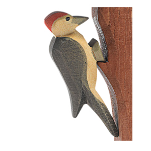 Bird - Woodpecker