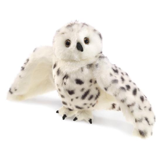 Snowy Owl  