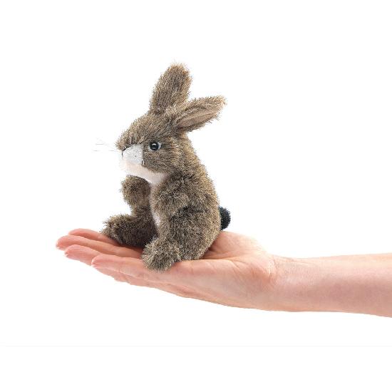 Mini Jack Rabbit    DUE JUNE