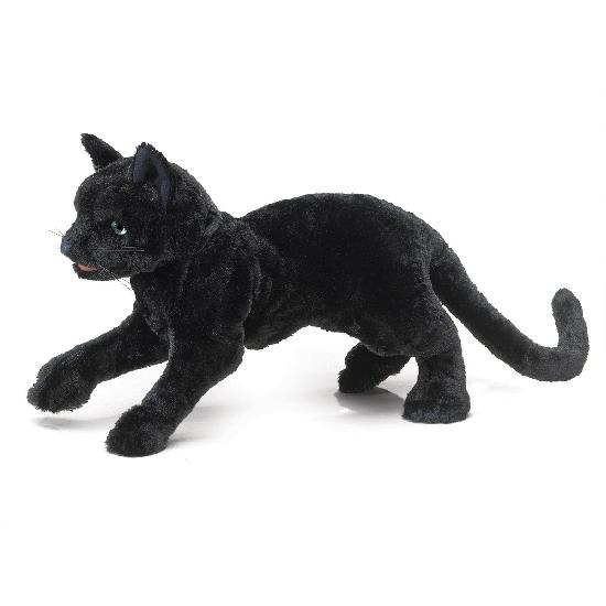 Black Cat       NO E.T.A. AVAILABLE