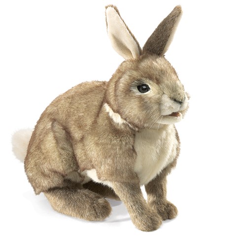 Cottontail Rabbit  NO E.T.A. AVAILABLE