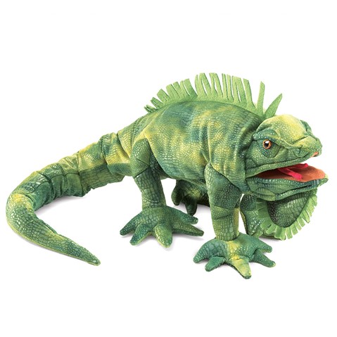 Iguana  NO E.T.A. AVAILABLE