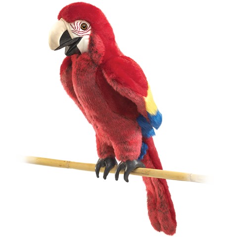 Scarlet Macaw     