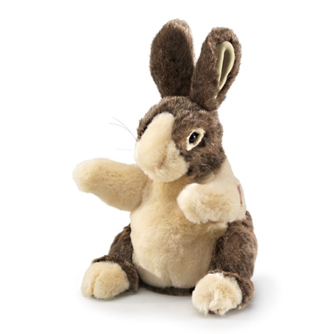 Baby Dutch Rabbit  NO E.T.A. AVAILABLE