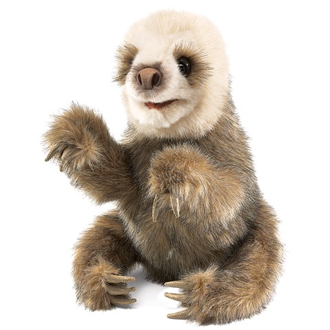 Baby Sloth  