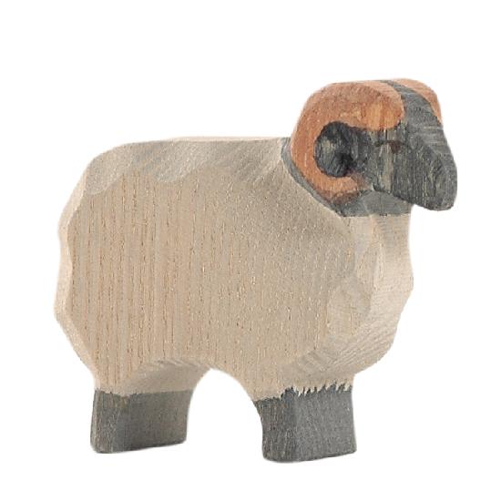 Sheep - Moorland Ram