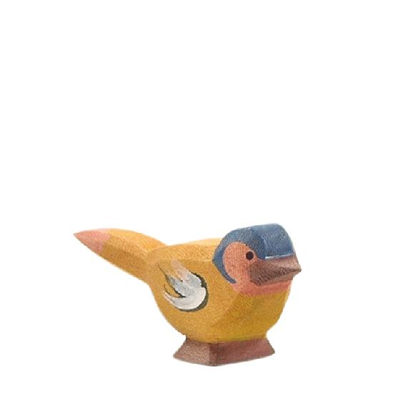 Bird - Chaffinch