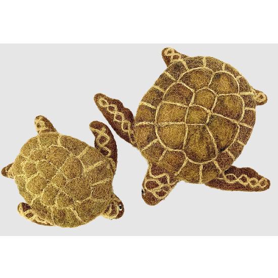 Brown Turtles 2pc 