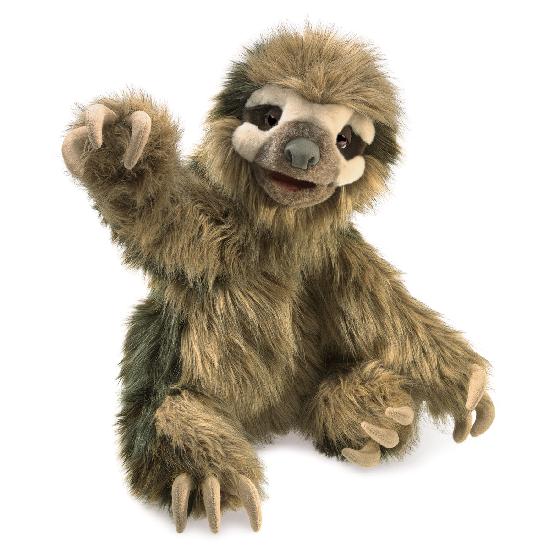 Three-toed Sloth    NO E.T.A. AVAILABLE