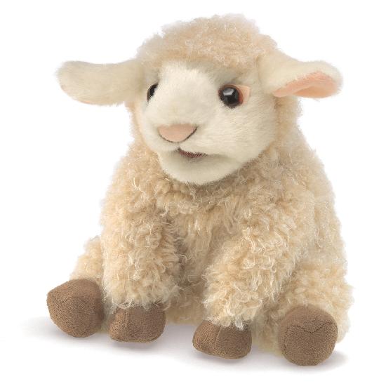 Small Lamb    NO E.T.A. AVAILABLE