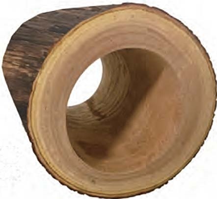Wood - Hollow Log